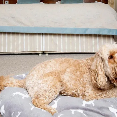 赫利厄特酒店 4*