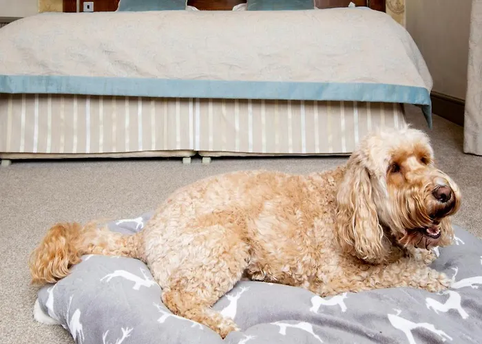 赫利厄特酒店 4*